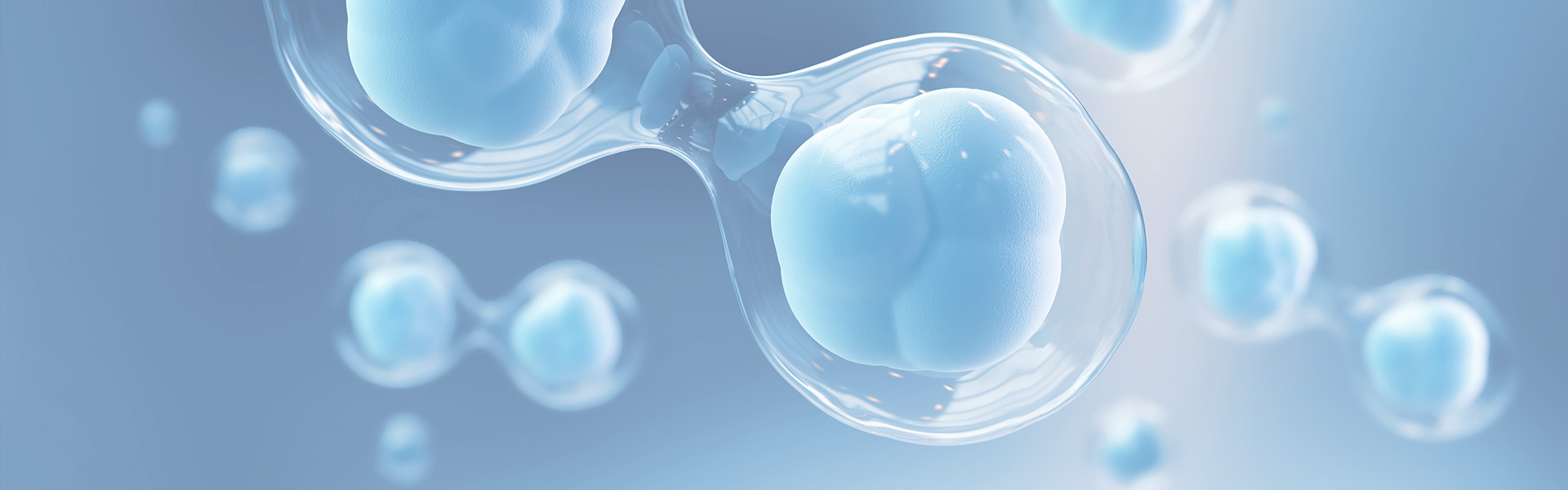 人生就是搏尊龙(中国唯一)集团有限公司-首页