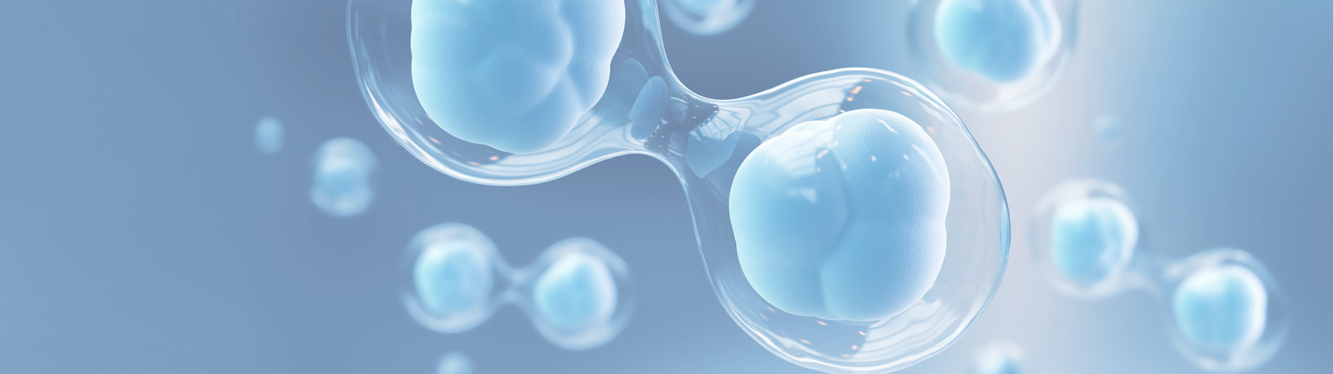 人生就是搏尊龙(中国唯一)集团有限公司-首页