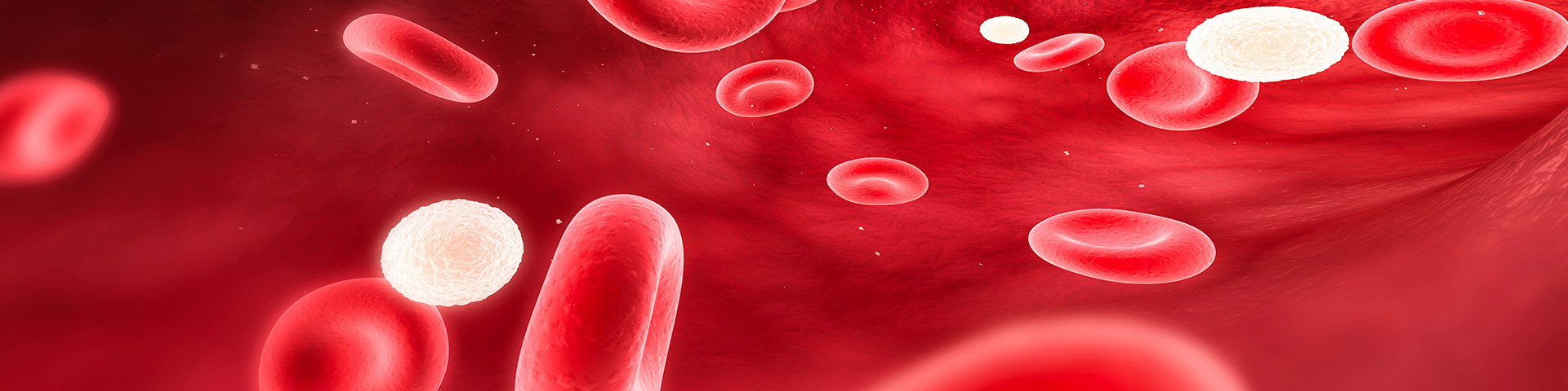 人生就是搏尊龙(中国唯一)集团有限公司-首页