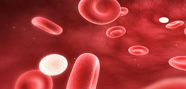 人生就是搏尊龙(中国唯一)集团有限公司-首页