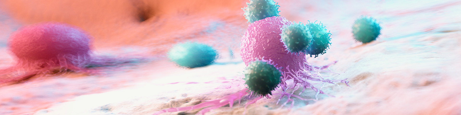 人生就是搏尊龙(中国唯一)集团有限公司-首页