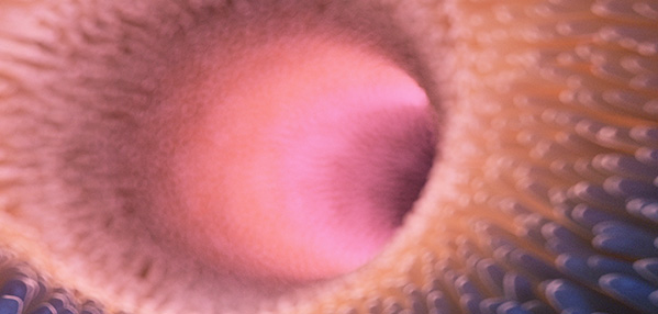 人生就是搏尊龙(中国唯一)集团有限公司-首页