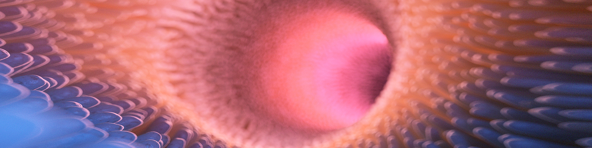 人生就是搏尊龙(中国唯一)集团有限公司-首页