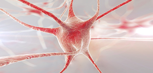 人生就是搏尊龙(中国唯一)集团有限公司-首页