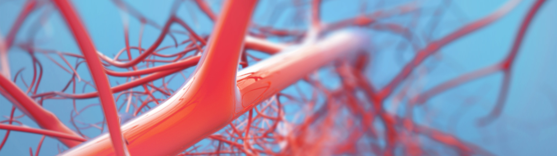 人生就是搏尊龙(中国唯一)集团有限公司-首页