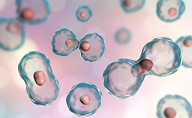 人生就是搏尊龙(中国唯一)集团有限公司-首页