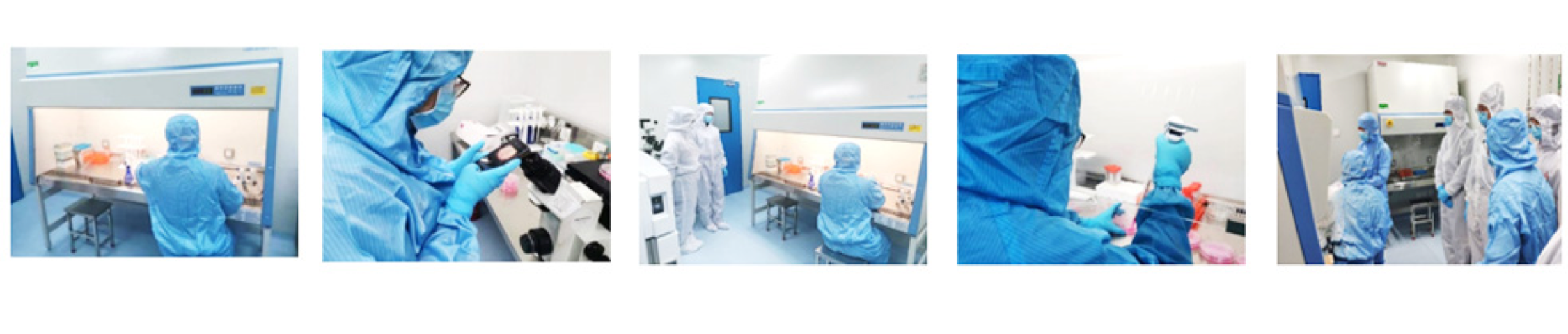 人生就是搏尊龙(中国唯一)集团有限公司-首页