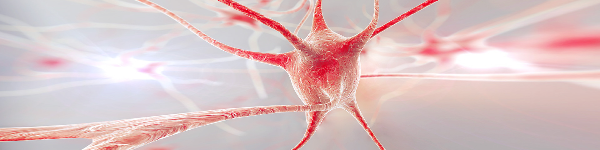 人生就是搏尊龙(中国唯一)集团有限公司-首页