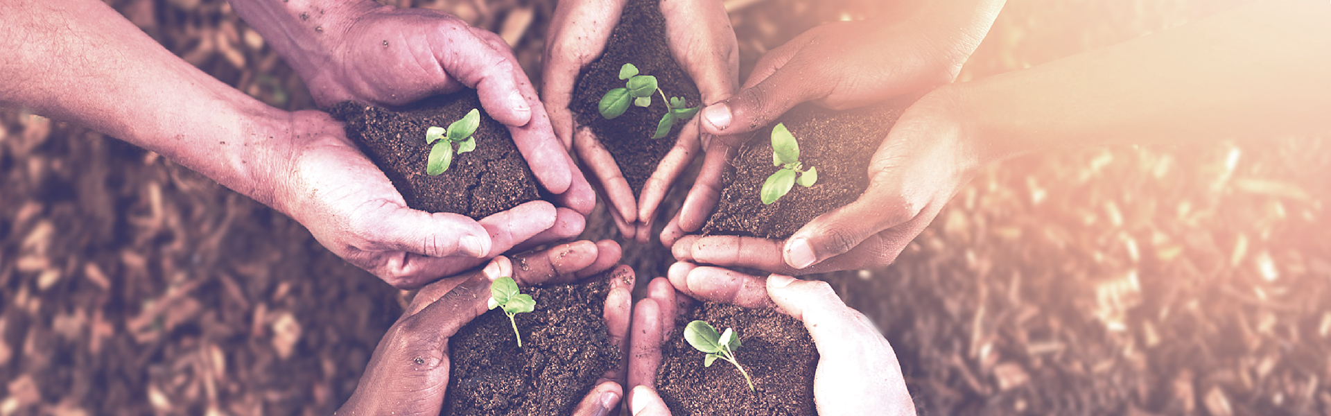 人生就是搏尊龙(中国唯一)集团有限公司-首页